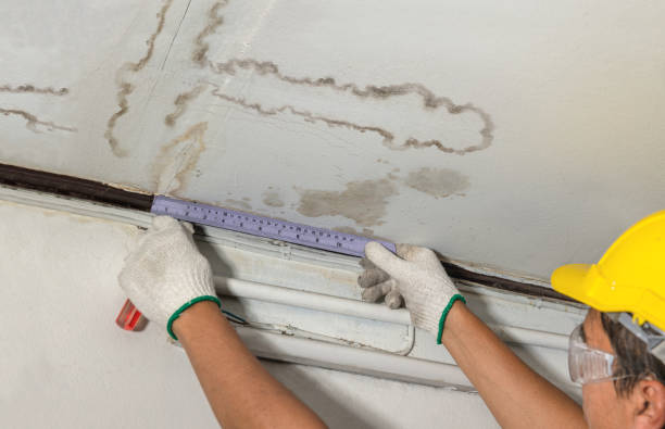 24/7 Emergency Structural Drying experts in Bristolville, OH