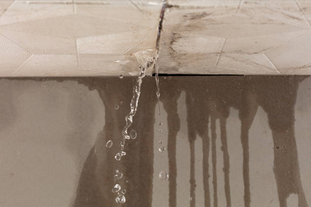 Professional Structural Drying technician working in Bristolville, OH